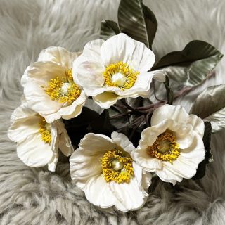 カラフル　バリーエーション♦♦♦花模様選集 Den. Fancy Heart 'Jolie'<br>ファンシーハート 'ジョリー